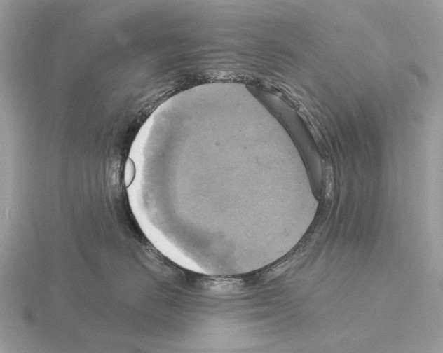 X0000115330670200912141220