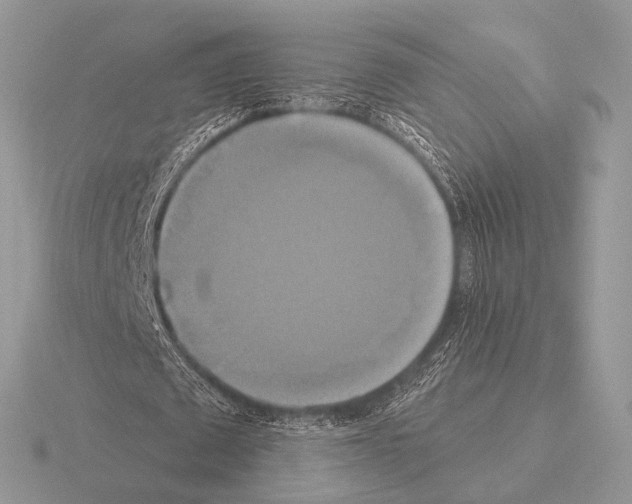 X0000115330673200912141220