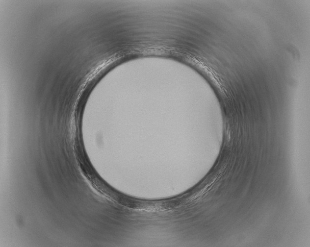 X0000115330674200912141220