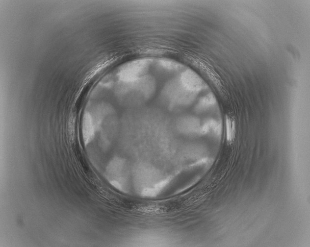 X0000115330675200912141220