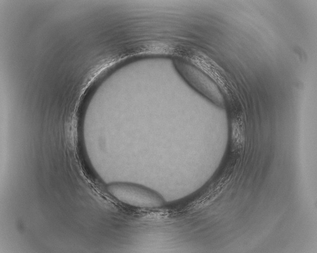 X0000115330676200912141220