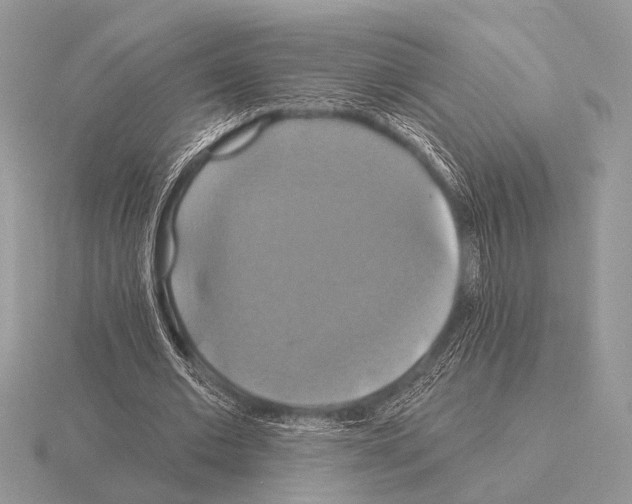 X0000115330677200912141219