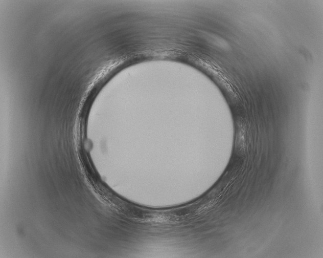 X0000115330678200912141219