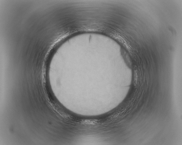 X0000115330680200912141219