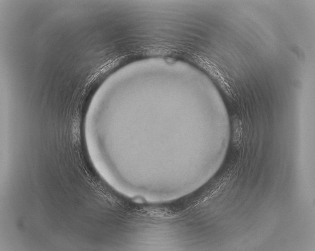 X0000115330681200912141219