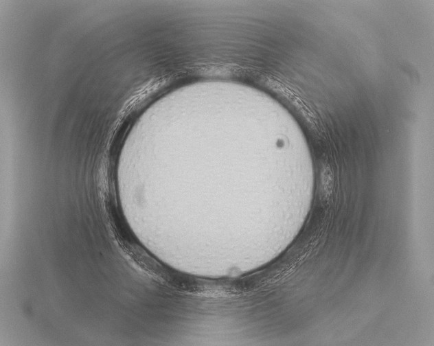 X0000115330682200912141219