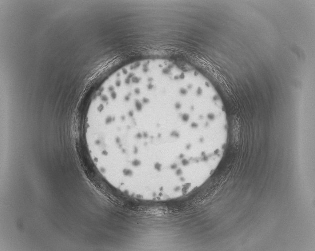 X0000115330683200912141219