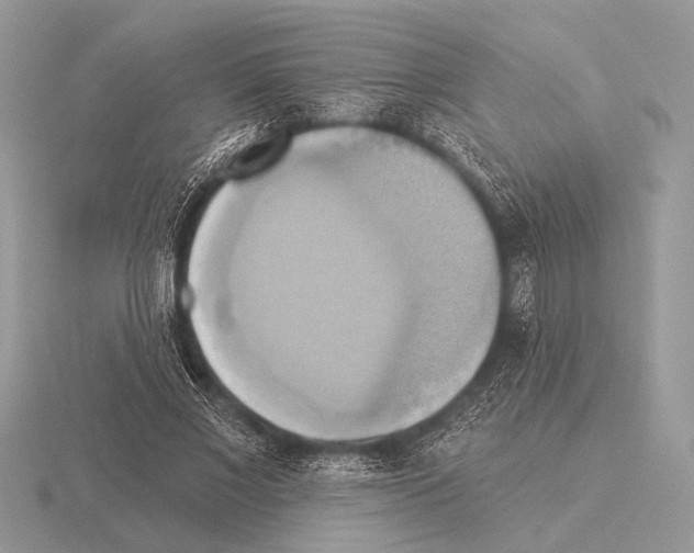 X0000115330685200912141219