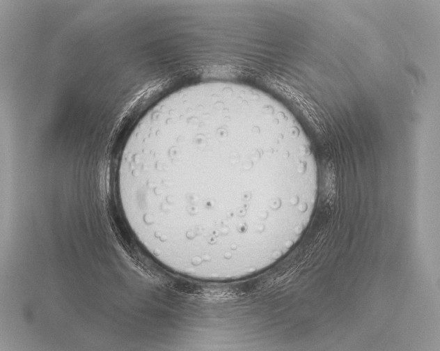 X0000115330686200912141219