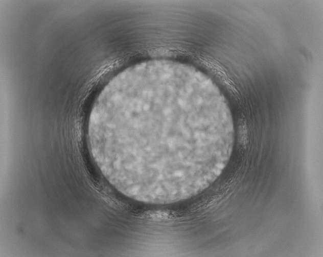 X0000115330687200912141219