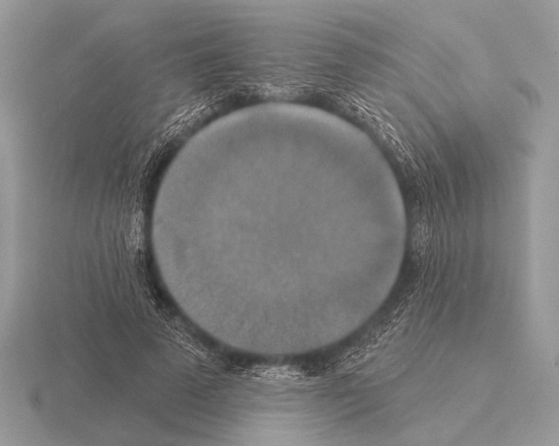 X0000115330689200912141219