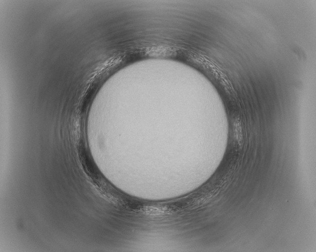 X0000115330690200912141219