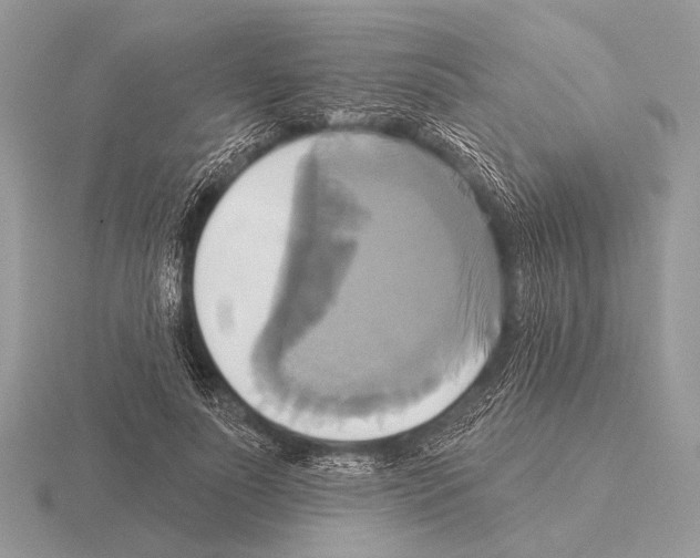 X0000115330691200912141219