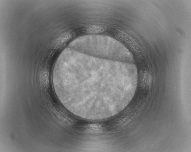 X0000115330692200912141219