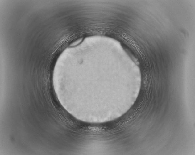 X0000115330693200912141219