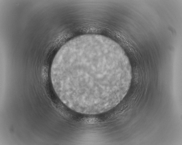 X0000115330695200912141219