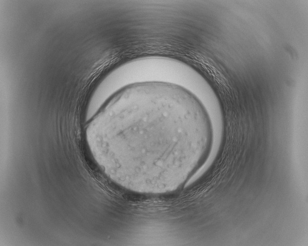 X0000115330696200912141219