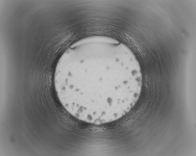 X0000115330697200912141219