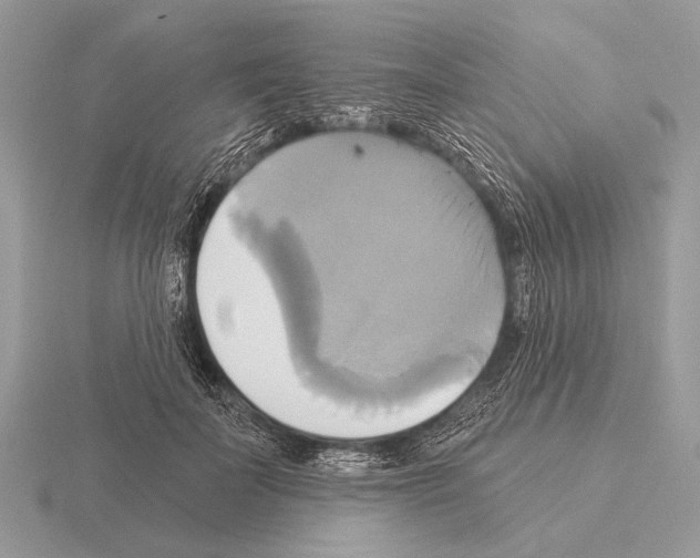 X0000115330699200912141219