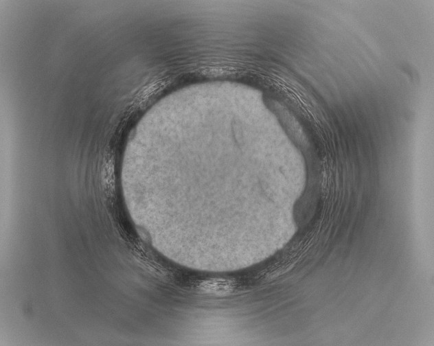 X0000115330700200912141219