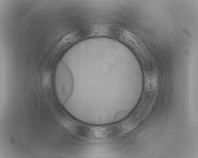 X0000115330701200912141219