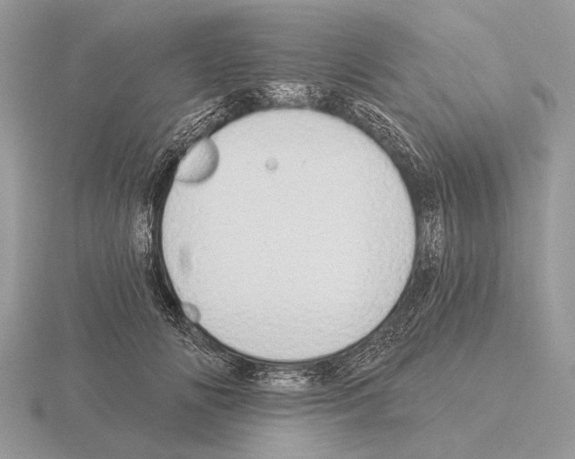 X0000115330702200912141219