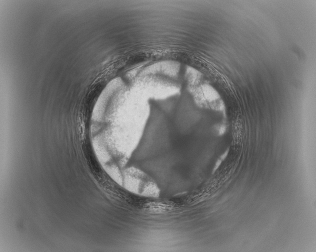 X0000115330703200912141219