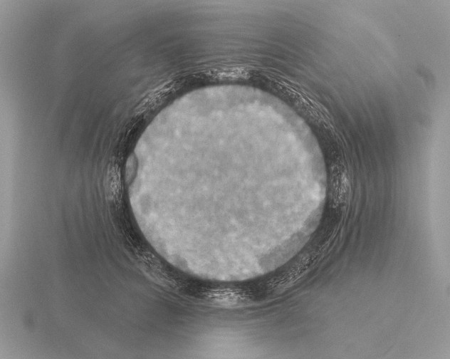 X0000115330704200912141219