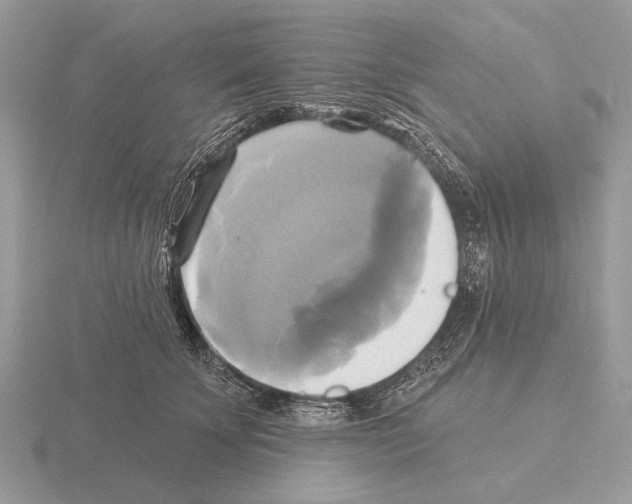 X0000115330707200912141219