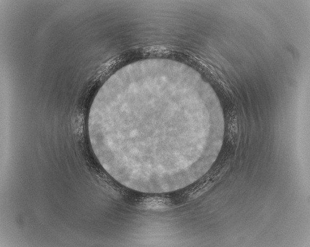 X0000115330708200912141219