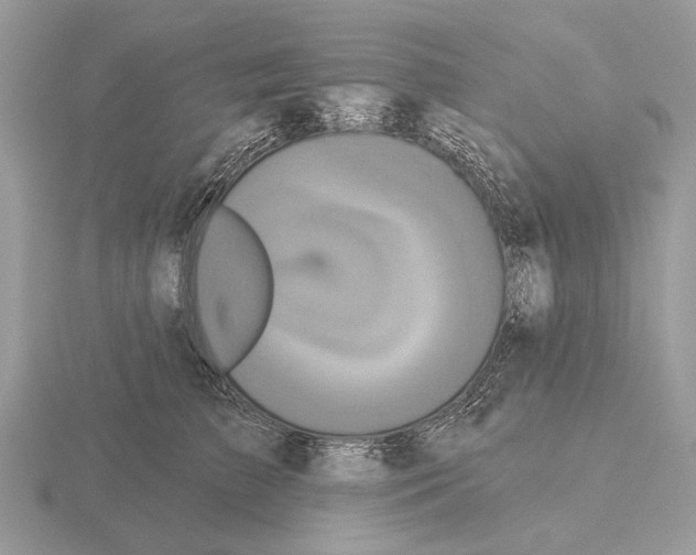 X0000115330709200912141219