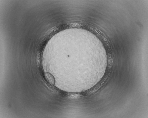 X0000115330710200912141219