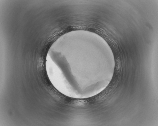 X0000115330711200912141219