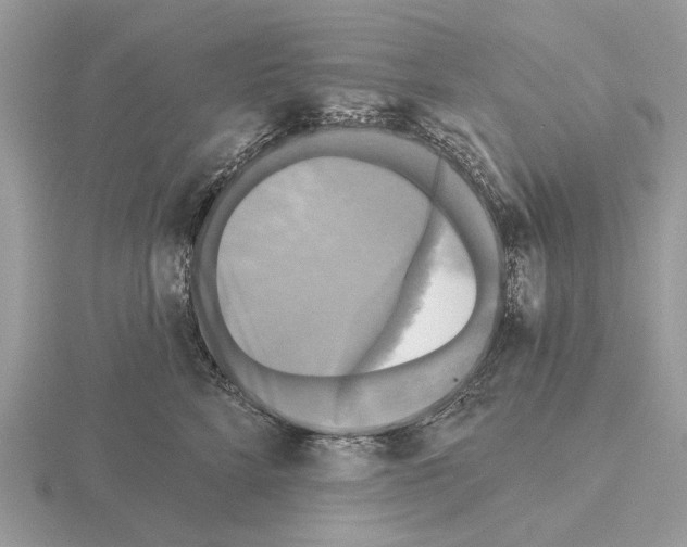 X0000115330712200912141219