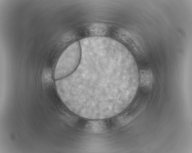 X0000115330713200912141219