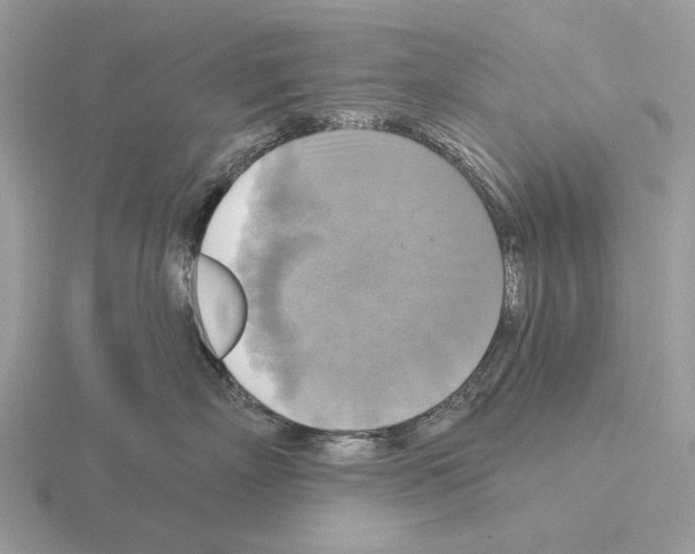 X0000115330718200912141219