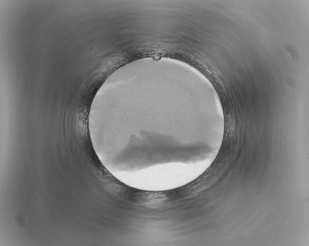 X0000115330719200912141219