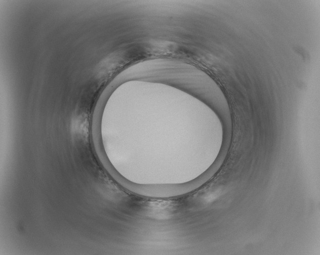 X0000115330720200912141219