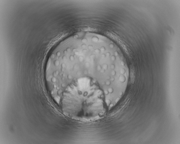 X0000115330721200912141218