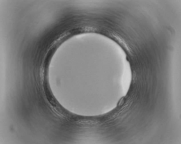 X0000115330722200912141218