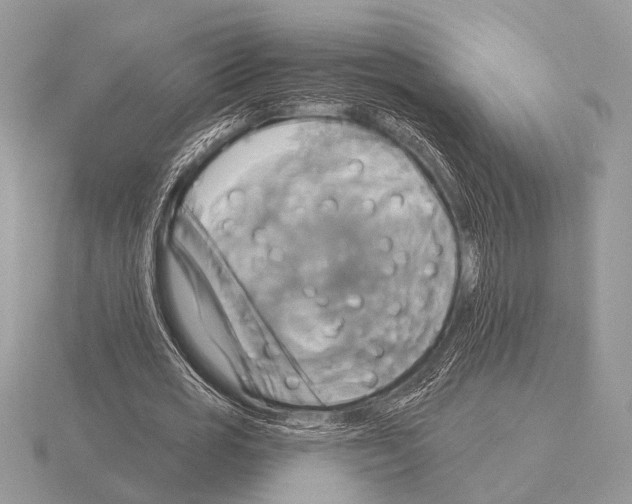 X0000115330725200912141218