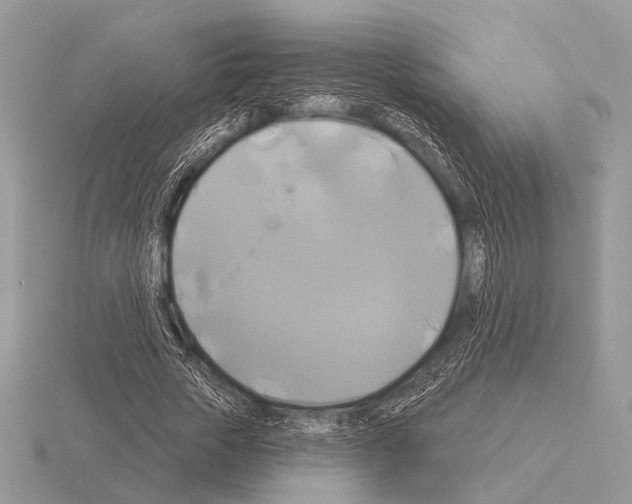 X0000115330729200912141218