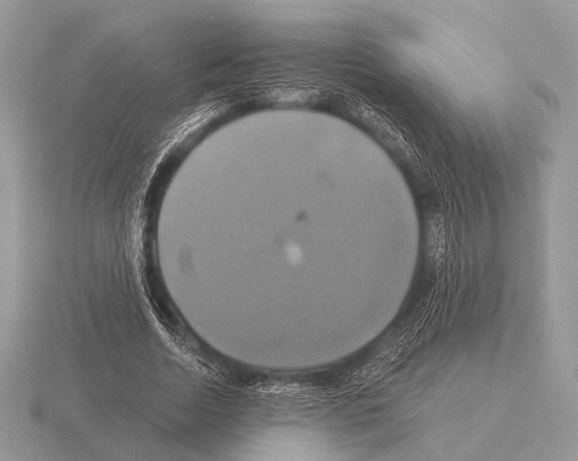 X0000115330730200912141218