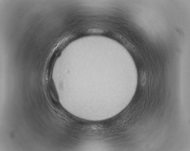 X0000115330731200912141218