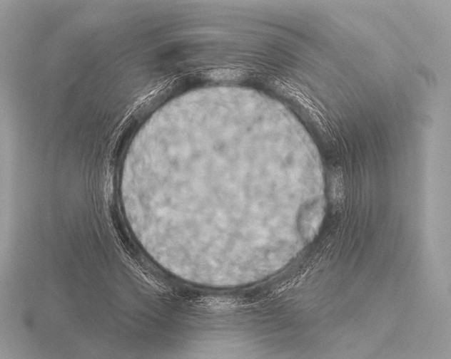 X0000115330733200912141218