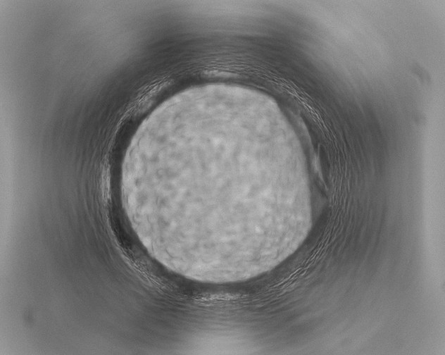 X0000115330734200912141218