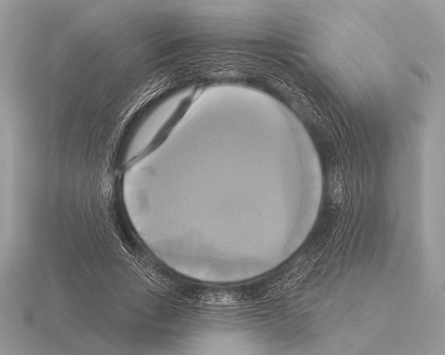 X0000115330735200912141219