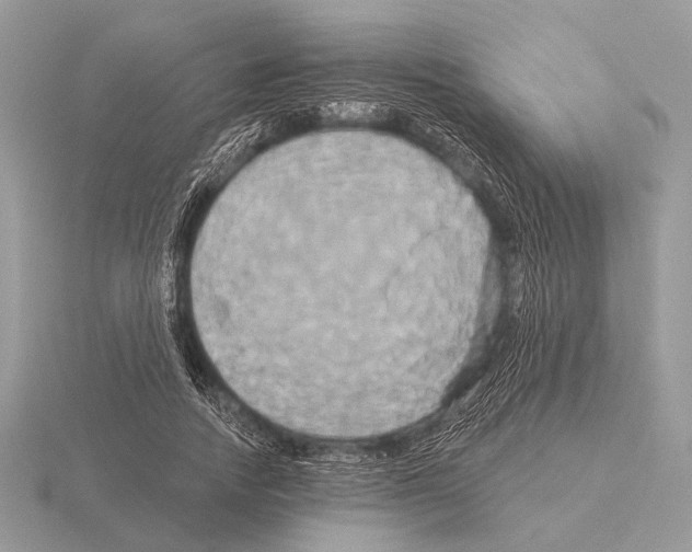 X0000115330738200912141219