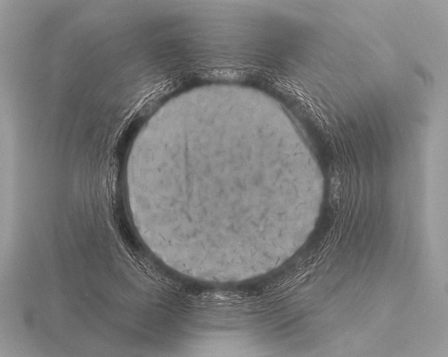 X0000115330739200912141219