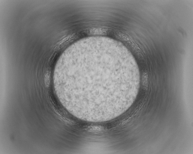 X0000115330741200912141219